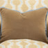 Scatter Cushion in Velvet with Blue Trim