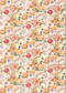 GP & J Baker, Little Magnolia, Pink / Orange