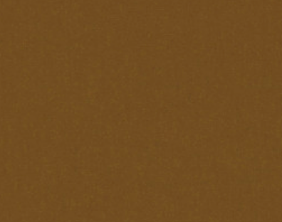 Scatter Cushion in Cinnamon Velvet