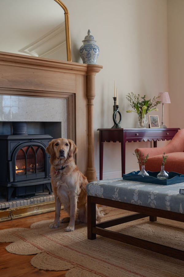 template--26588947349888__image_with_text_TG3Htj