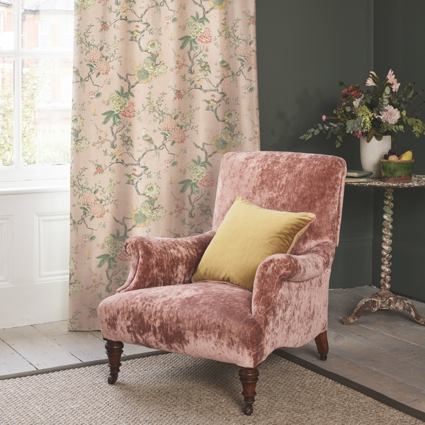 template--26597182112128__image_with_text_Gh4dwV